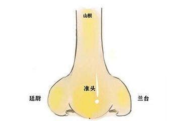 富鼻|五种富贵鼻，有钱又有福，财气跟进门，旺子又旺孙！ 